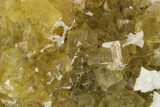 Golden Yellow, Cubic Fluorite Crystals with Phantoms - Spain #255713-1